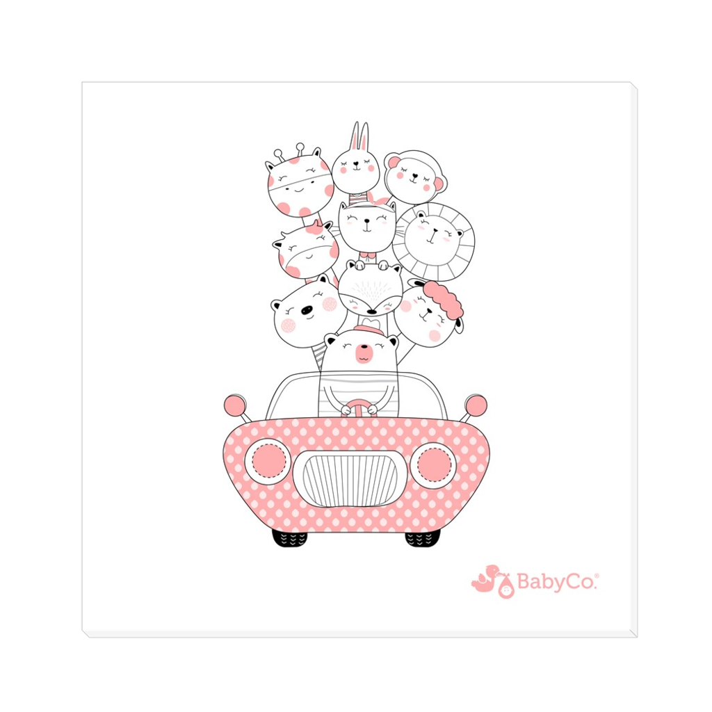 Amigos en el automóvil